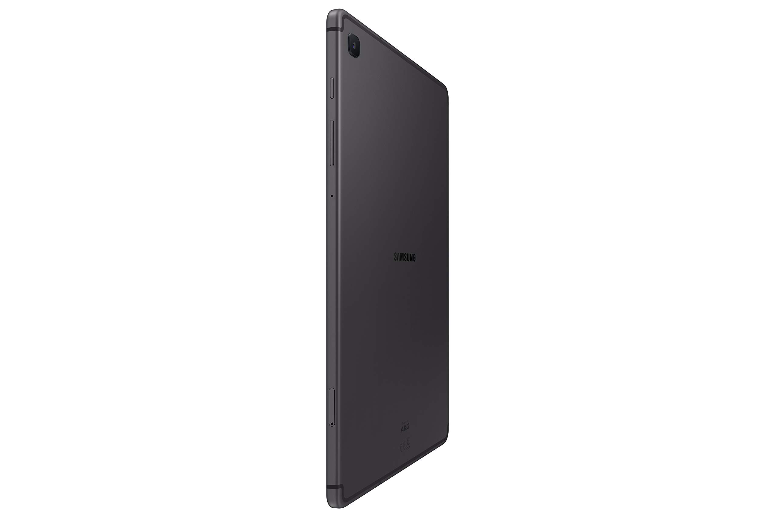 SAMSUNG Galaxy Tab S6 Lite (2024) 10.4
