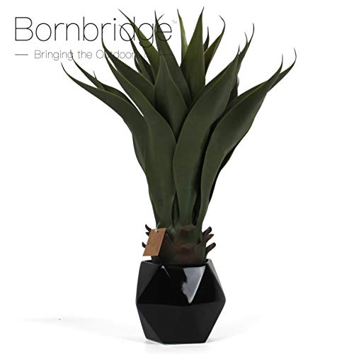 Agave (Black Planter)