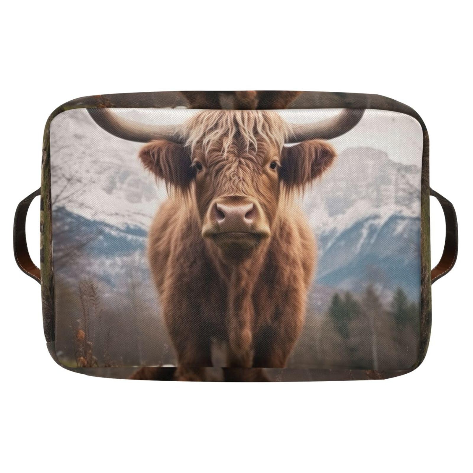 Highland Cows Foldable Storage Baskets - 2 Pack Rectangle Canvas Fabric Organizer Boxes with Handles for Clothes, Home & Office Organization | Perfect for Closet Shelves, Bedroom Decor and Laundry Storage