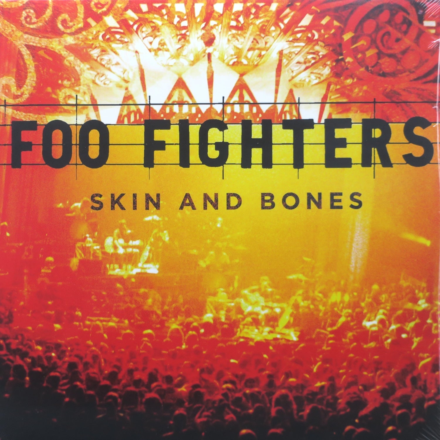 FOO FIGHTERS 'Skin And Bones' Vinyl Record LP Album - Limited Edition Rock Music Collectible for Home Listening & Gift Giving