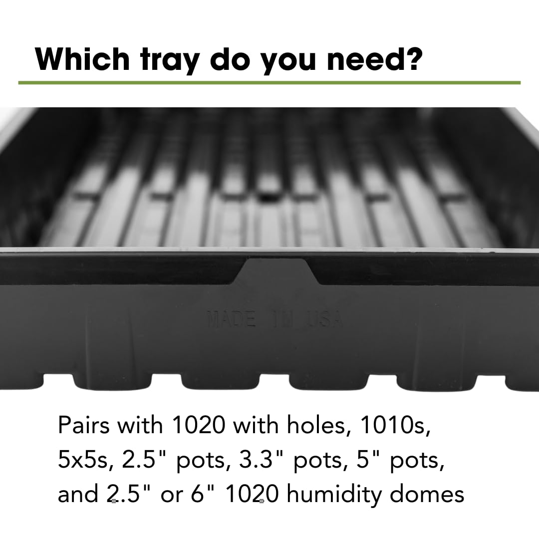 Bootstrap Farmer 1020 Seedling Tray with Drainage Holes - 5 Pack for Hydroponics, Microgreens & Indoor Gardening