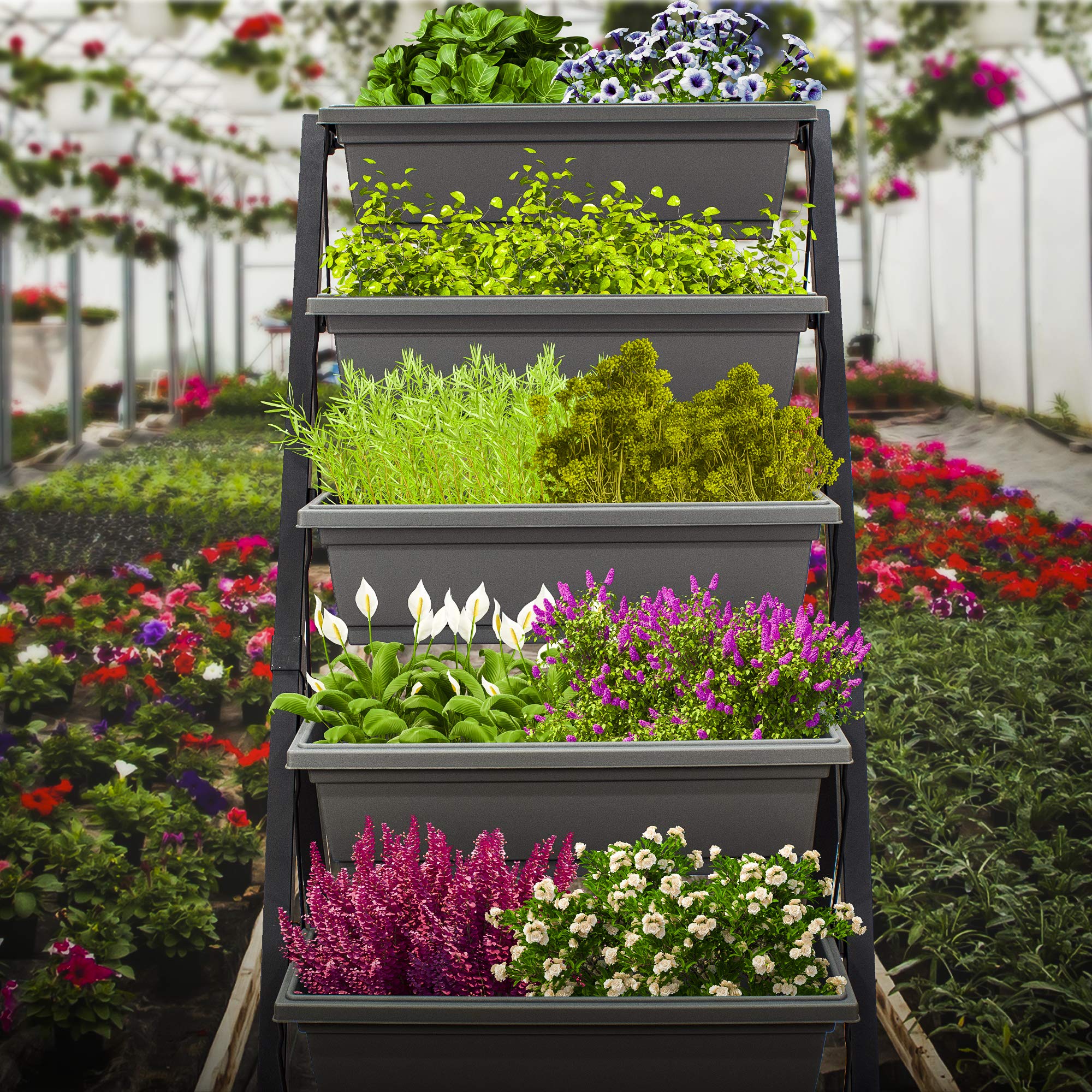 5-Tier 4Ft Vertical Raised Garden Bed - Food Safe Planter Box for Herbs, Vegetables & Flowers | Indoor & Outdoor Gardening Solution for Patio, Balcony, Greenhouse & Backyard