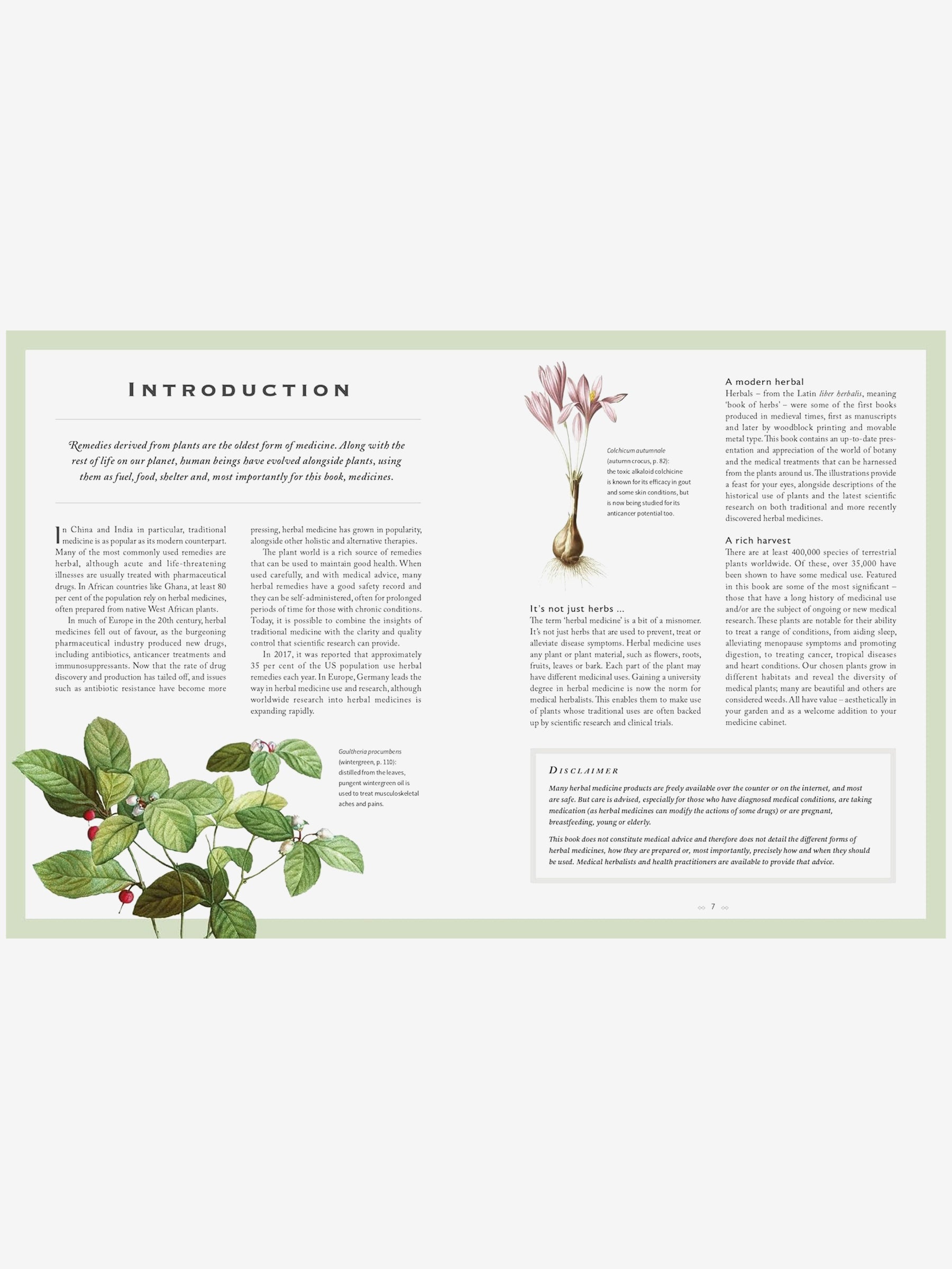 Healing Herbs: Ancient & Modern Medicinal Plants for Natural Remedies, Wellness & Home Gardening