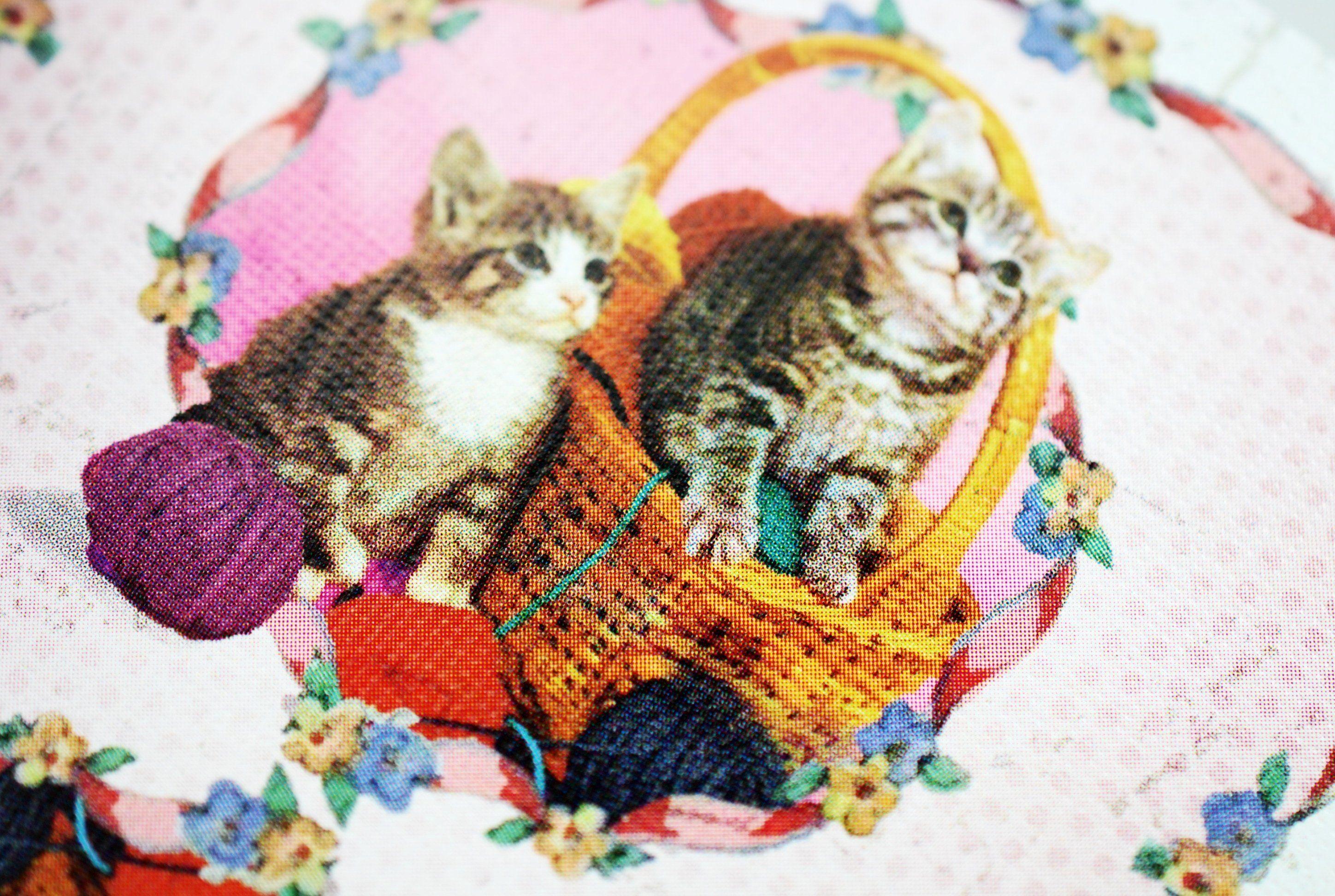 Madison Kittens - Adorable Plush Stuffed Animal Toy for Kids & Cat Lovers | Perfect Gift for Birthdays, Valentine's Day & Nursery Decor