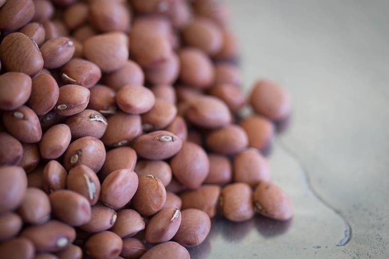 Rancho Gordo Santa Maria Pinquitos Beans - 1 lb Bag | Authentic Heirloom Beans for Cooking, Chili, and Stews | Perfect for Soups, Salads, and Mexican Recipes