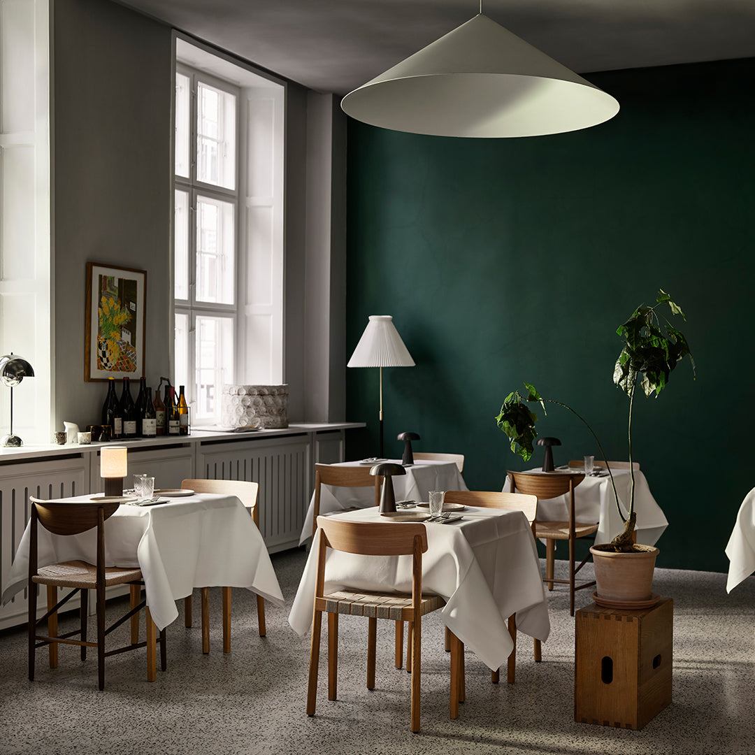 HM3 Modern Dining Chair - Ergonomic Design, Comfortable & Stylish for Home, Restaurant, and Office Use