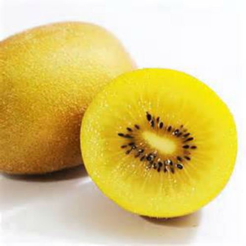Golden Kiwi Seeds - 10 Pack for Planting | Hardy in Zones 7-11 | Sweet Tropical Fruit | Perfect for Home Gardens & DIY Fruit Trees