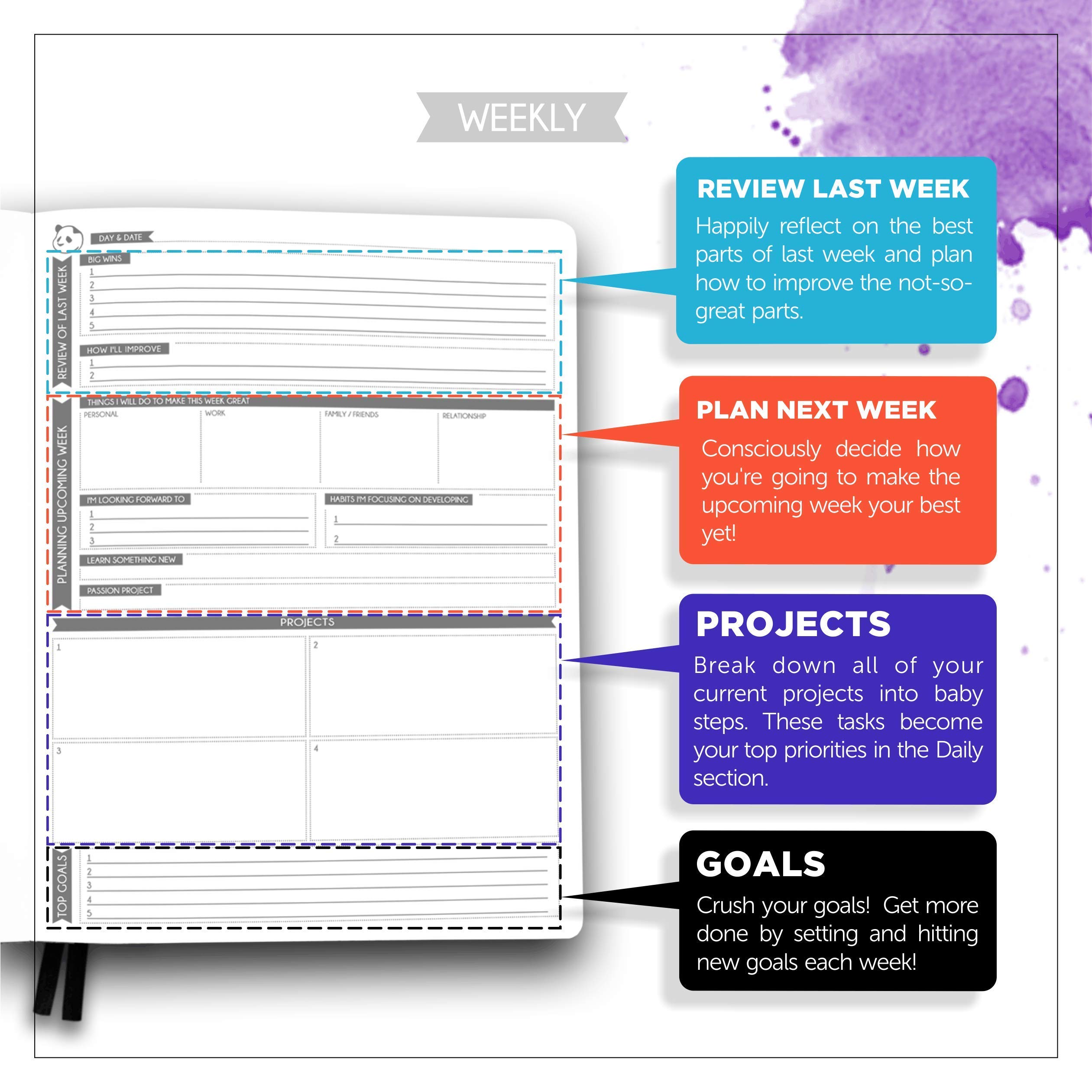 Cyan Pro Undated 6-Month Daily Planner with Spring Sticky Notes - Productivity Planner & Organizer for Work, School & Personal Goals | Panda Planner