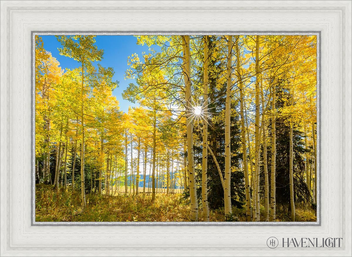 Autumn in the Rocky Mountains - Stunning Fall Foliage at Wasatch National Forest Utah | Perfect for Hiking, Photography & Nature Exploration
