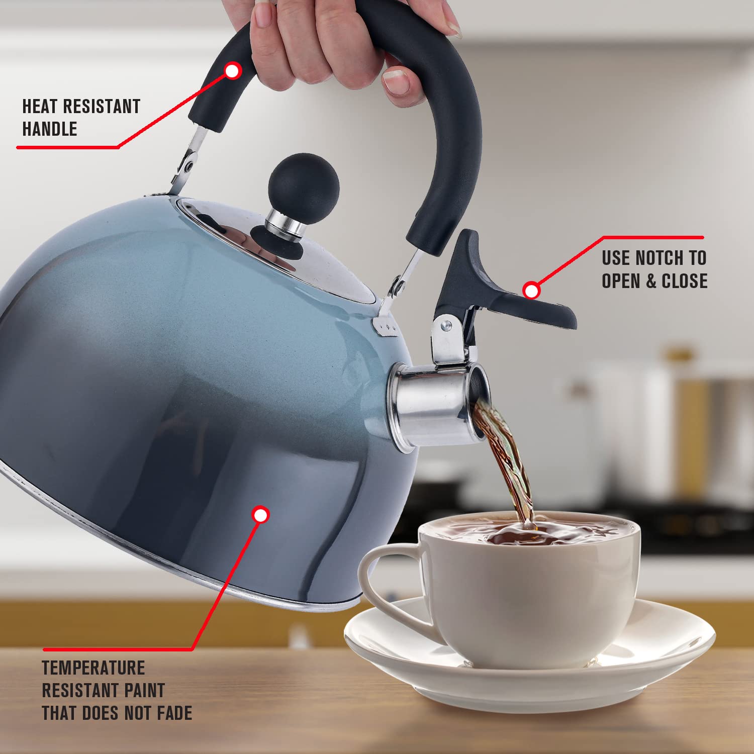 Emeril Lagasse 2.6 Quart Stainless Steel Whistling Tea Kettle - Induction Compatible, Fast Boiling Water Pot with Cool-Touch Handle for Home, Kitchen & Office - Perfect for Tea, Coffee & Cooking (Black)