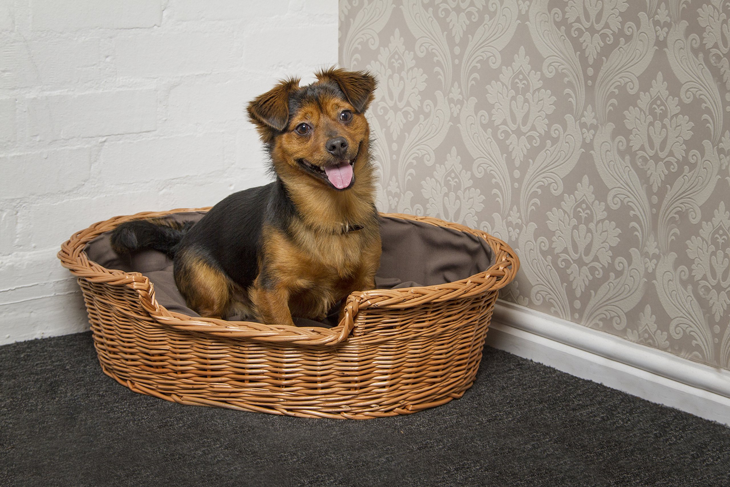 Premium Small Dark Dog Bed Basket - Cozy Pet Bed for Small Dogs - Perfect for Home, Crate & Travel Use