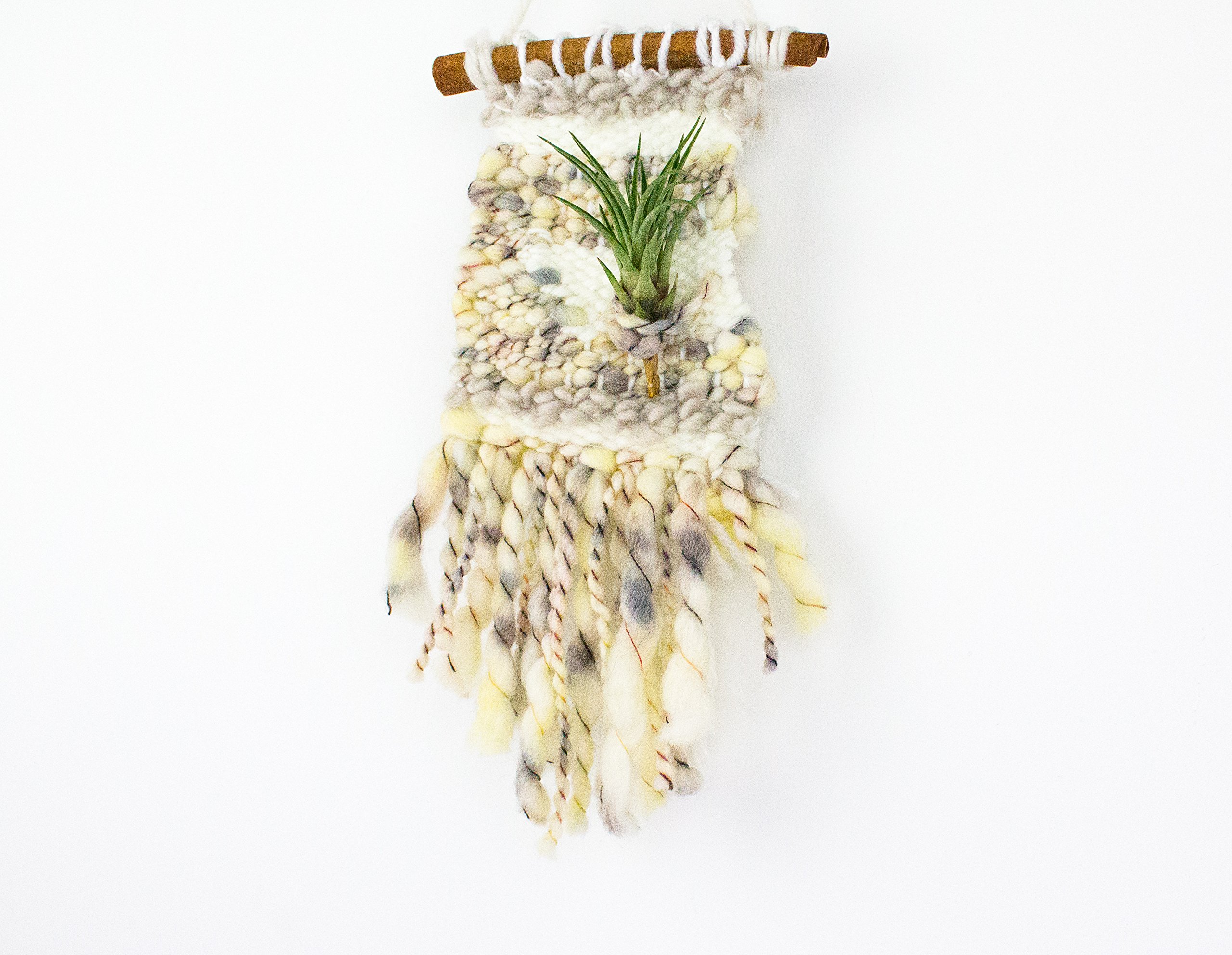 Mini Woven Tapestry Air Plant Holder - Handmade Boho Wall Hanging Decor for Tillandsia - Perfect for Home, Office, and Wedding Decorations