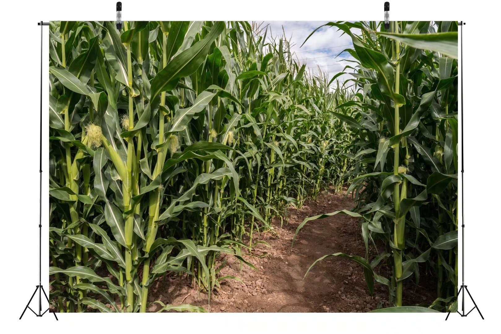 BELECO 5x3ft Green Cornfield Photography Backdrop - Farmland Scenery Fabric for Rural Corn Maze, Barnyard Party Decor & Countryside Theme - Perfect for Photo Shoots, Themed Parties, and Agricultural Events