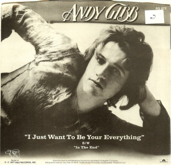 Andy Gibb - I Just Want To Be Your Everything 7