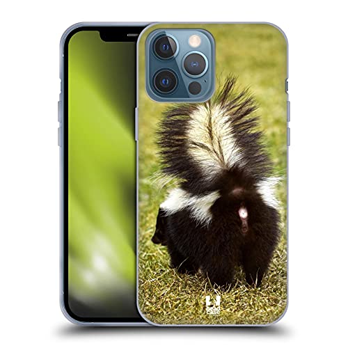 Striped Skunk