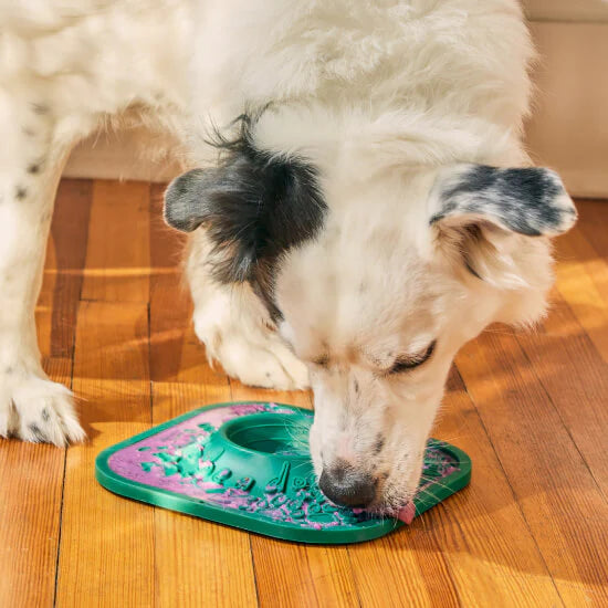 LickMat Lavender Lick Mat for Dogs - Non-Slip Suction Cup Base with Built-in Bowl | Perfect for Dog Anxiety Relief, Slow Feeding & Treat Dispensing | Great for Grooming, Mealtime & Calming Pets