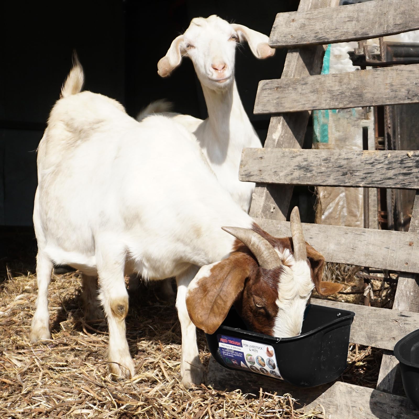 Goovilla 5 Quart Hanging Chicken Feeder & Waterer - 2 Pack Plastic Livestock Feeder for Poultry, Goats, Ducks, Pigs, Sheep and Dogs - Screw-in Fence Mount or Hanging with Clips - Durable Black Plastic Trough for Coop, Farm and Pet Use