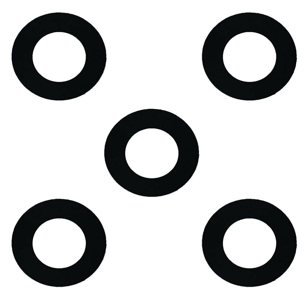 Sterling Seal CRG7000.1600.062.150X5 7000 Grafoil Ring Gasket - 16