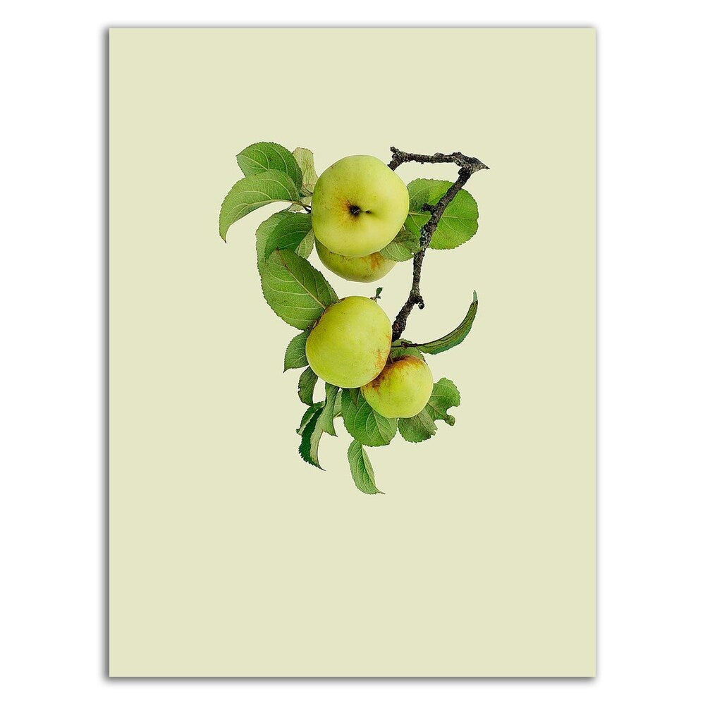 Incado Apple Tree I Canvas Print - Ready to Hang Wall Art for Living Room, Bedroom & Office Decor