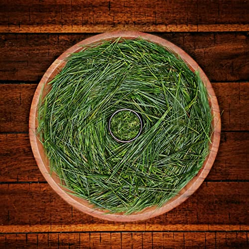 Organic White Pine Needle Tea - Immune Boosting Antioxidant Tea with Shikimic Acid & Polyphenols | Loose Leaf Herbal Tea (64oz) | Supports Wellness & Respiratory Health | Perfect for Cold Season & Daily Detox