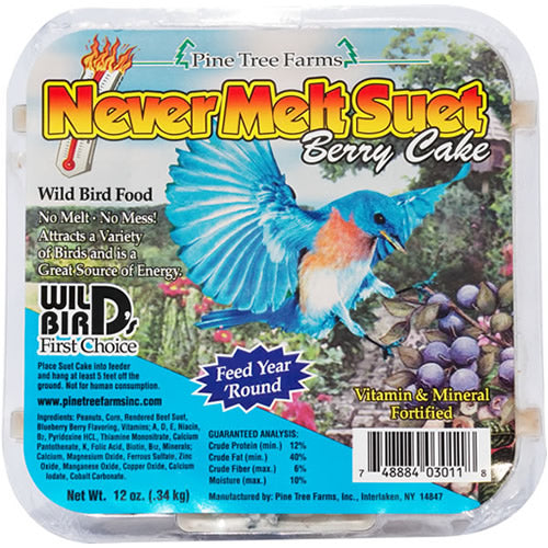 Never Melt Berry Suet Cakes - 12 Pack | High Energy Bird Food for Year-Round Feeding | Perfect for Wild Birds, Woodpeckers & Backyard Birdwatching