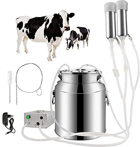 Cattle