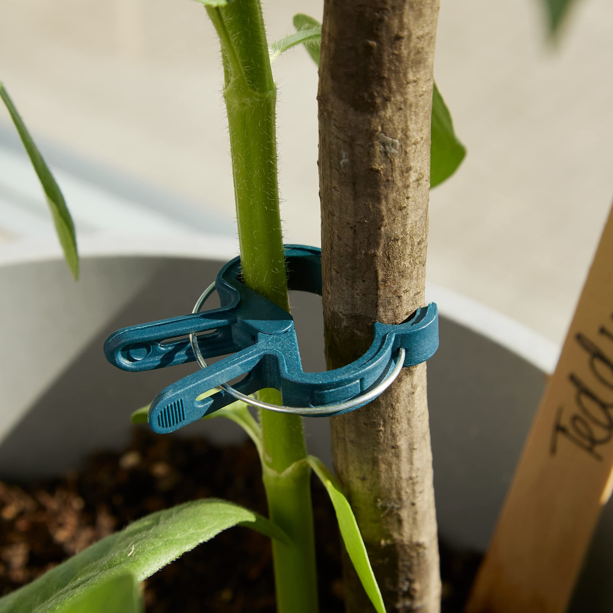 50 Pack Medium Plant Support Clips - Heavy Duty Garden Clips for Climbing Plants, Vines & Flowers - Adjustable Plant Ties for Tomato, Cucumber, Rose Plants - Perfect for Indoor/Outdoor Gardening & Greenhouse Use