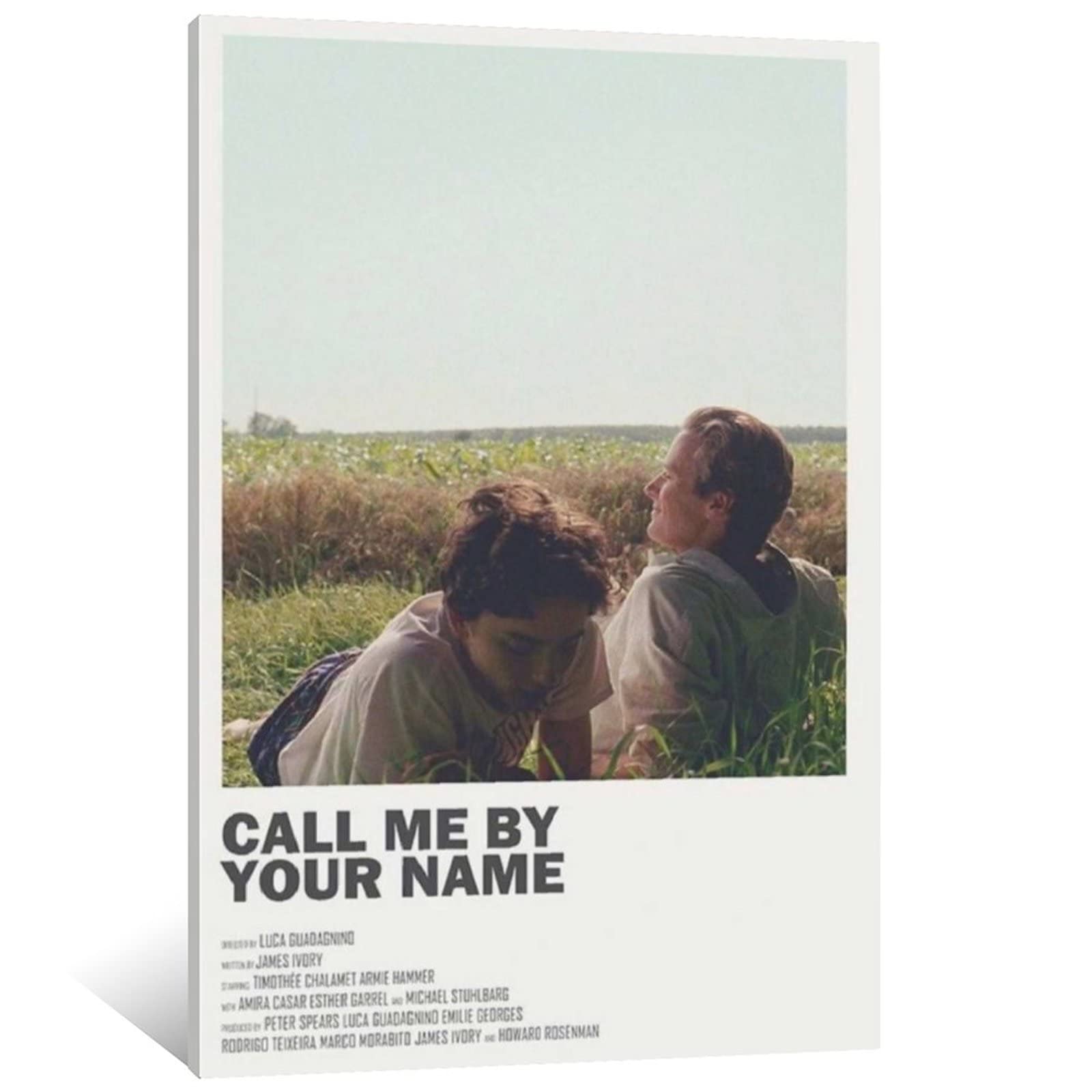 ZIZZLL Vintage 90s Movie Poster - Call Me by Your Name Canvas Wall Art (24x36inch/60x90cm) - Aesthetic Room Decor for Living Room & Bedroom | Perfect for Film Lovers & Retro Home Decor