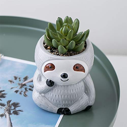 SilverFever Sloth Hanging Planter - Ceramic Succulent & Flower Pot for Indoor/Outdoor Plants | Cute Animal Planter for Home, Office, Balcony & Garden Decor (Standing Grey)