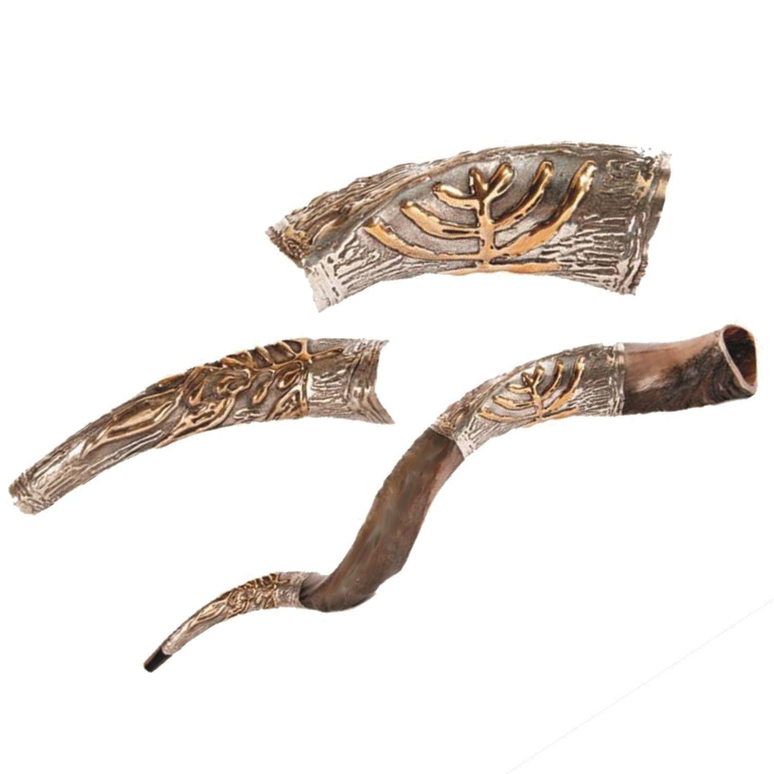 Natural Kosher Silver Plated Yemenite Shofar Kudu Horn - 31-35 Inches (80-89 cm) - Authentic Jewish Religious Ceremonial Instrument for Rosh Hashanah, Synagogue Services & Spiritual Rituals