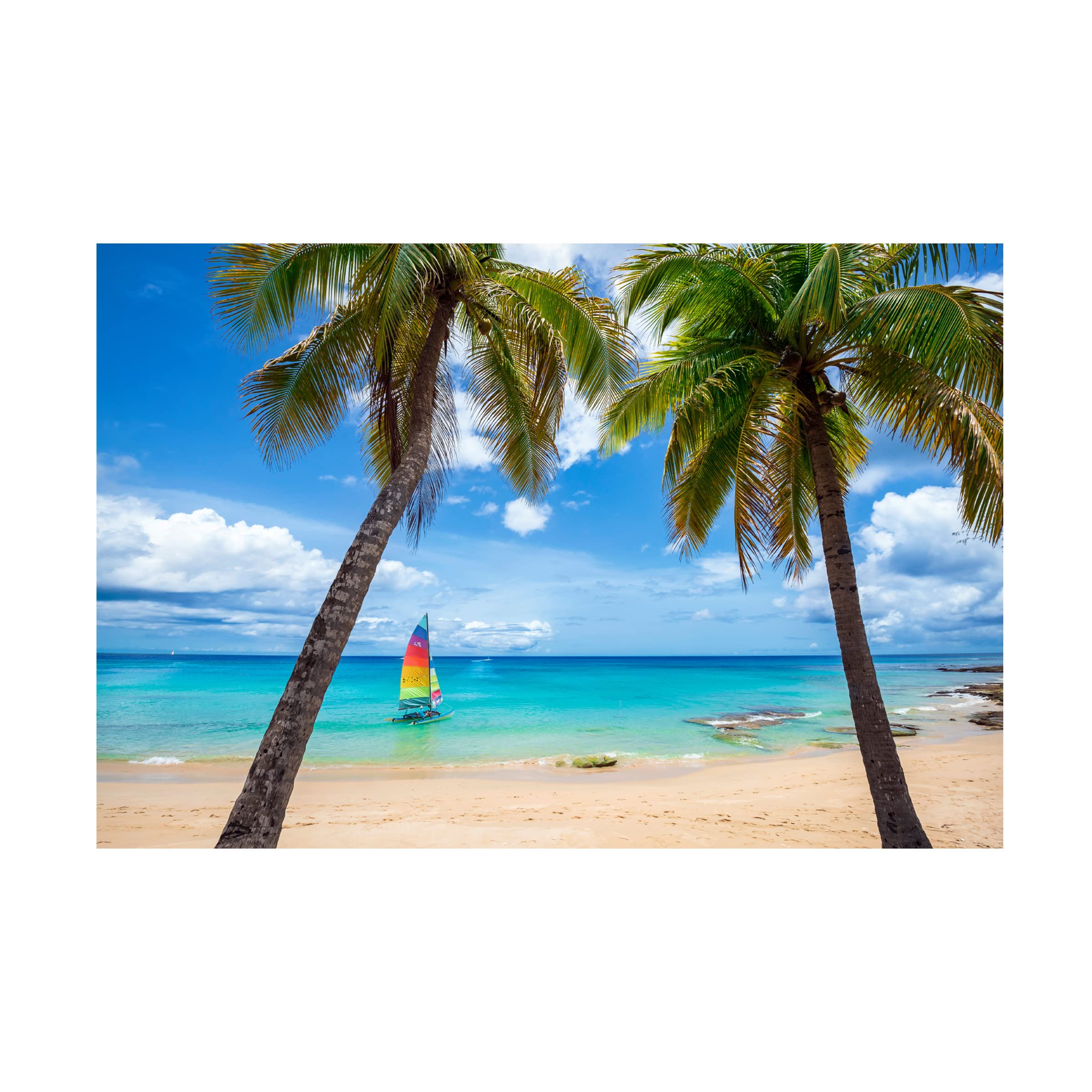 Lizzy Davis 'Postcard From Paradise' 16x24 Canvas Wall Art - Tropical Beach Landscape Painting for Living Room, Bedroom & Office Decor