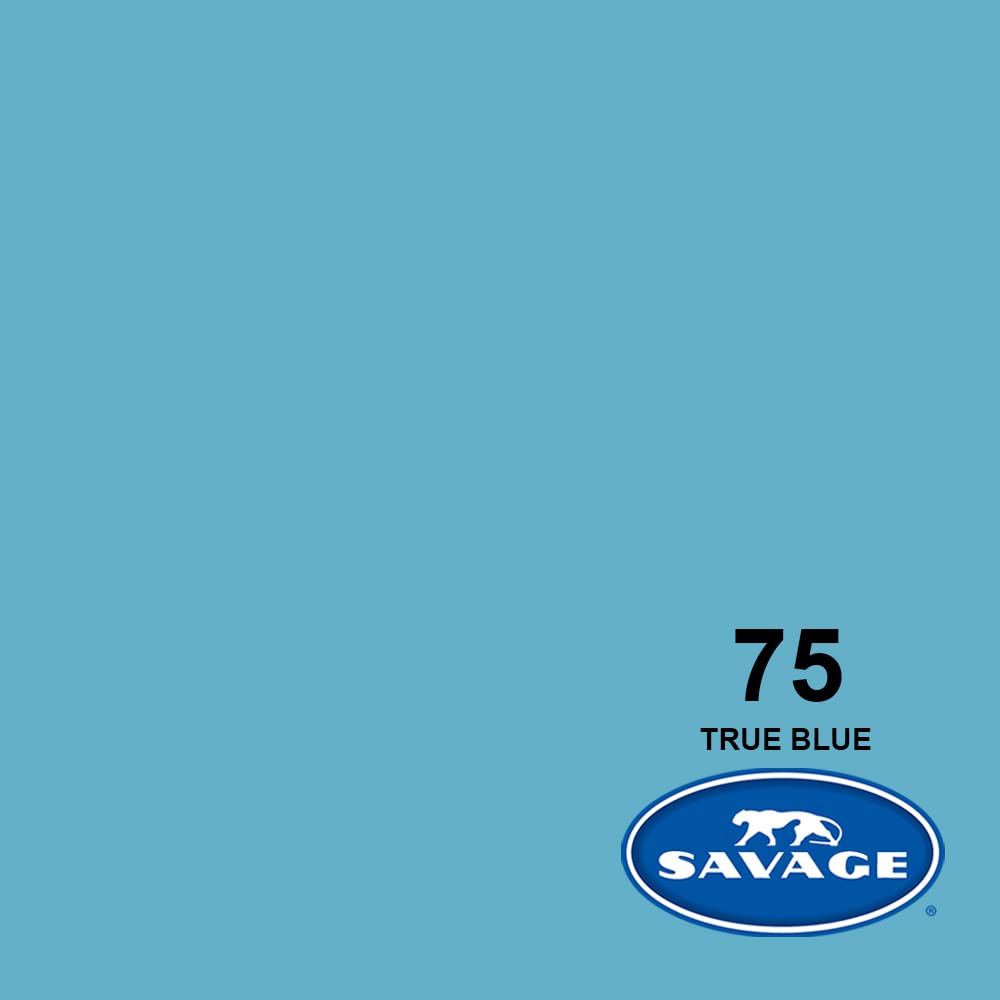 Savage Seamless Background Paper - #75 True Blue (107