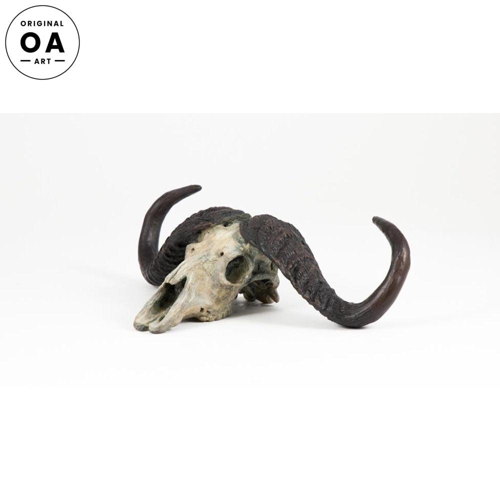Authentic Cape Buffalo Skull - Handcrafted African Taxidermy Decor for Hunting Lodge, Cabin & Western Home Decor | Perfect for Wall Mount, Man Cave & Safari Theme Room