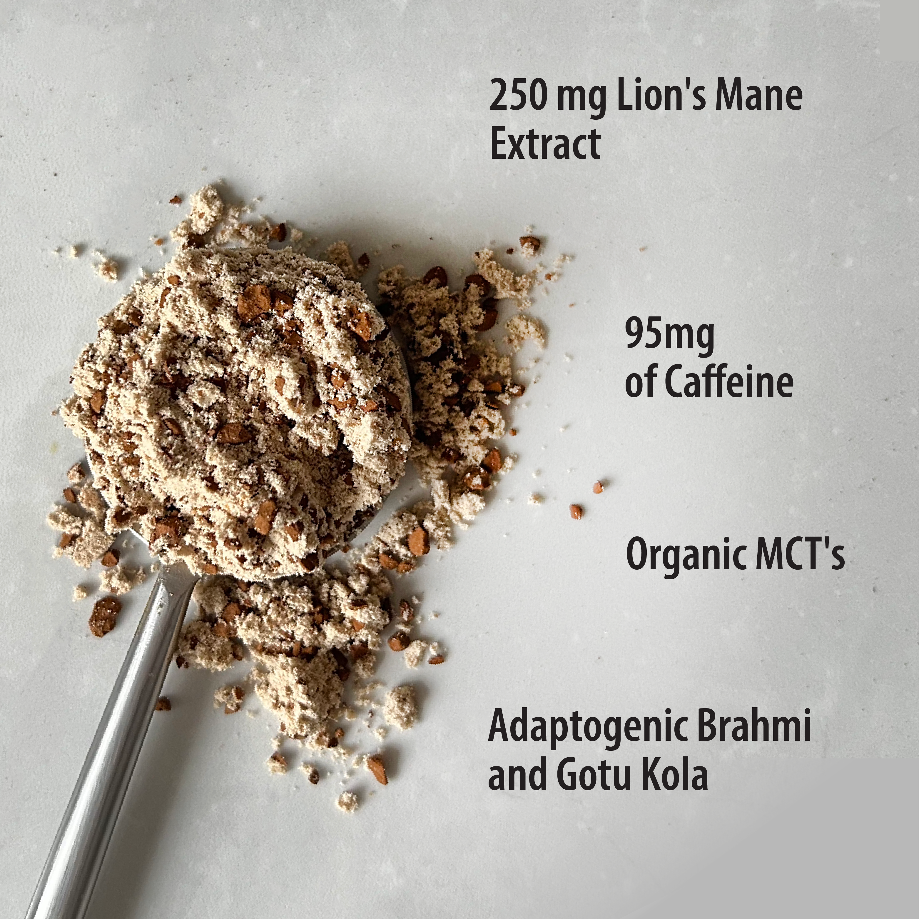 Focus Fuel Mushroom Coffee - Organic Lion's Mane & Chaga Blend for Energy & Focus - Boost Productivity & Mental Clarity - Perfect for Morning Routine, Workouts, and Study Sessions