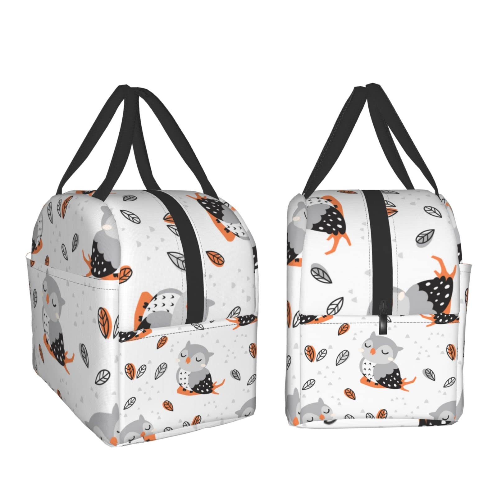 Insulated Owl Lunch Box for Women & Men - Reusable Thermal Lunch Bag for Office, School, Camping, Hiking, Picnic, Beach & Travel - Cute Animal Design Lunch Tote