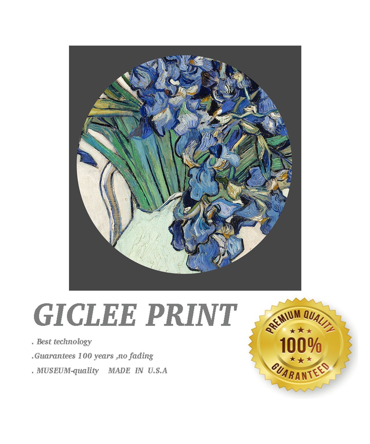 ELITEART Vincent Van Gogh Irises Giclee Art Canvas Print - Framed Wall Decor 29''x35'' - Perfect for Living Room, Bedroom & Office Decor