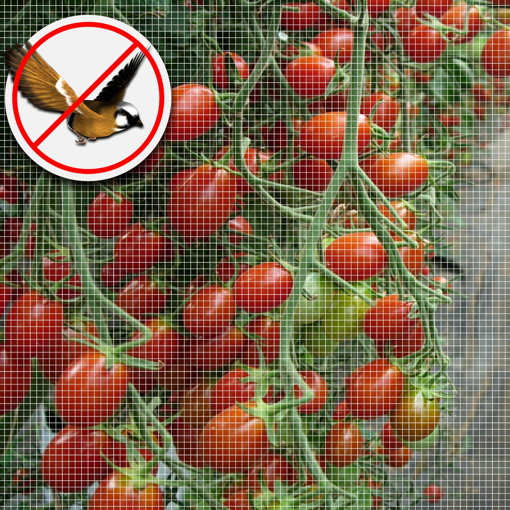 Premium 6.5'X10' Camel Garden Mosquito Netting - Durable Hunting Blind & Plant Protection Net for Fruits, Flowers | Perfect for Outdoor Gardens, Hunting Trips & Backyard Use