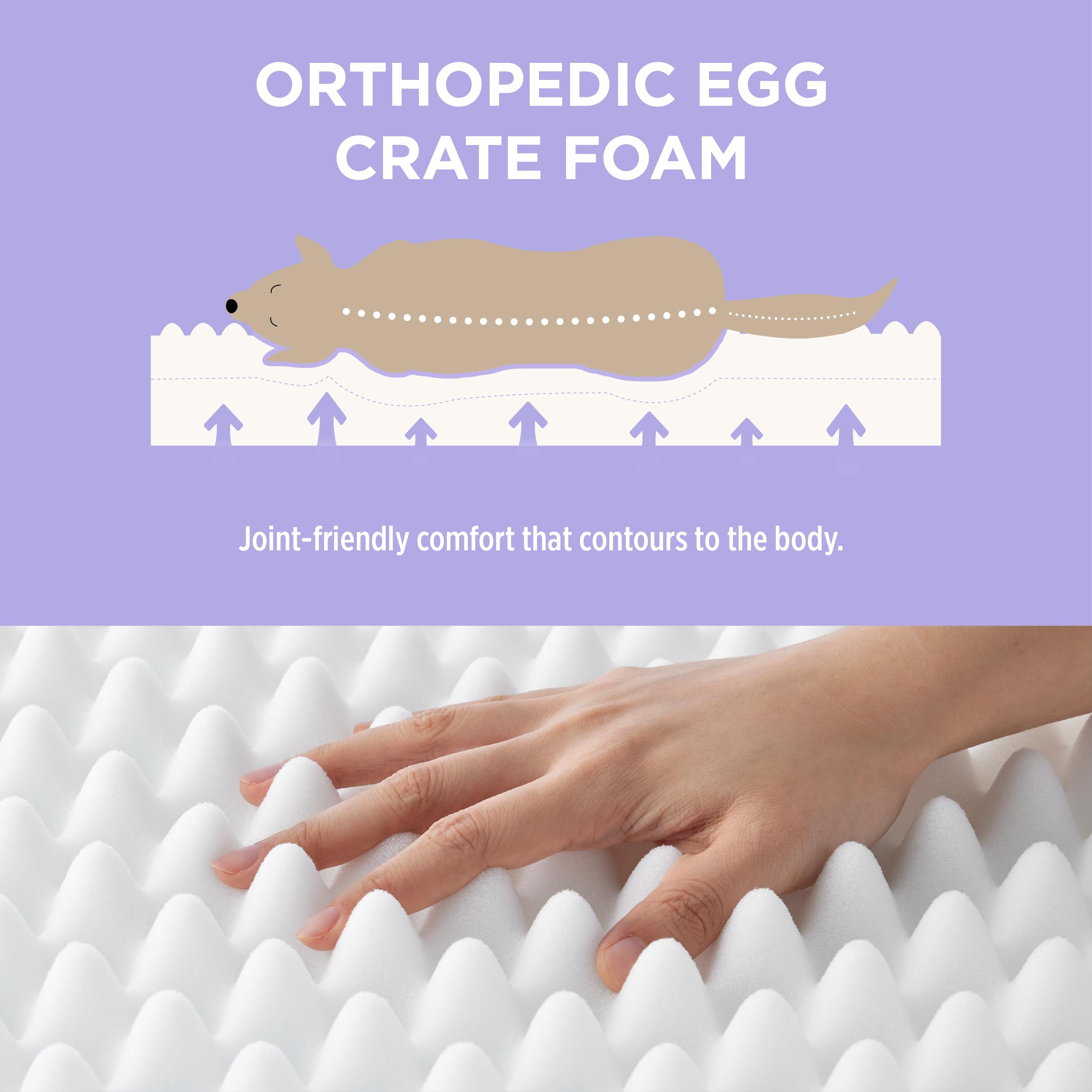 Orthopedic Dog Bed for Large Dogs, Waterproof Pet Mat with Washable Cover - Indoor Comfort for Pets
