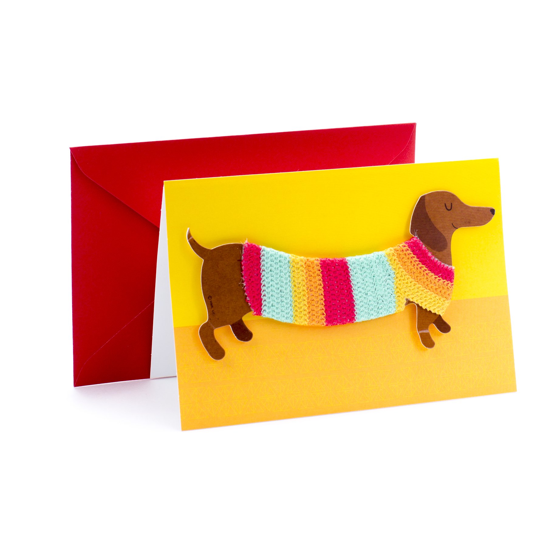 Hallmark Signature Birthday Card with Removable Dachshund Magnet - Cute Dog in Sweater Greeting Card for Dog Lovers - Perfect for Birthdays, Anniversaries & Special Occasions