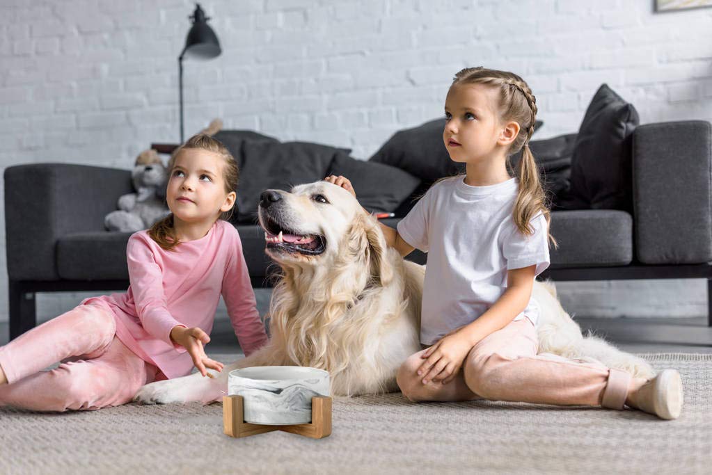 Premium Ceramic Pet Bowls with Stand - Non-Slip Heavy Weighted Dog & Cat Food and Water Bowls - No Tip Over Design for Comfortable Feeding - Dishwasher Safe, Easy to Clean - Perfect for Home, Kitchen, or Travel Use