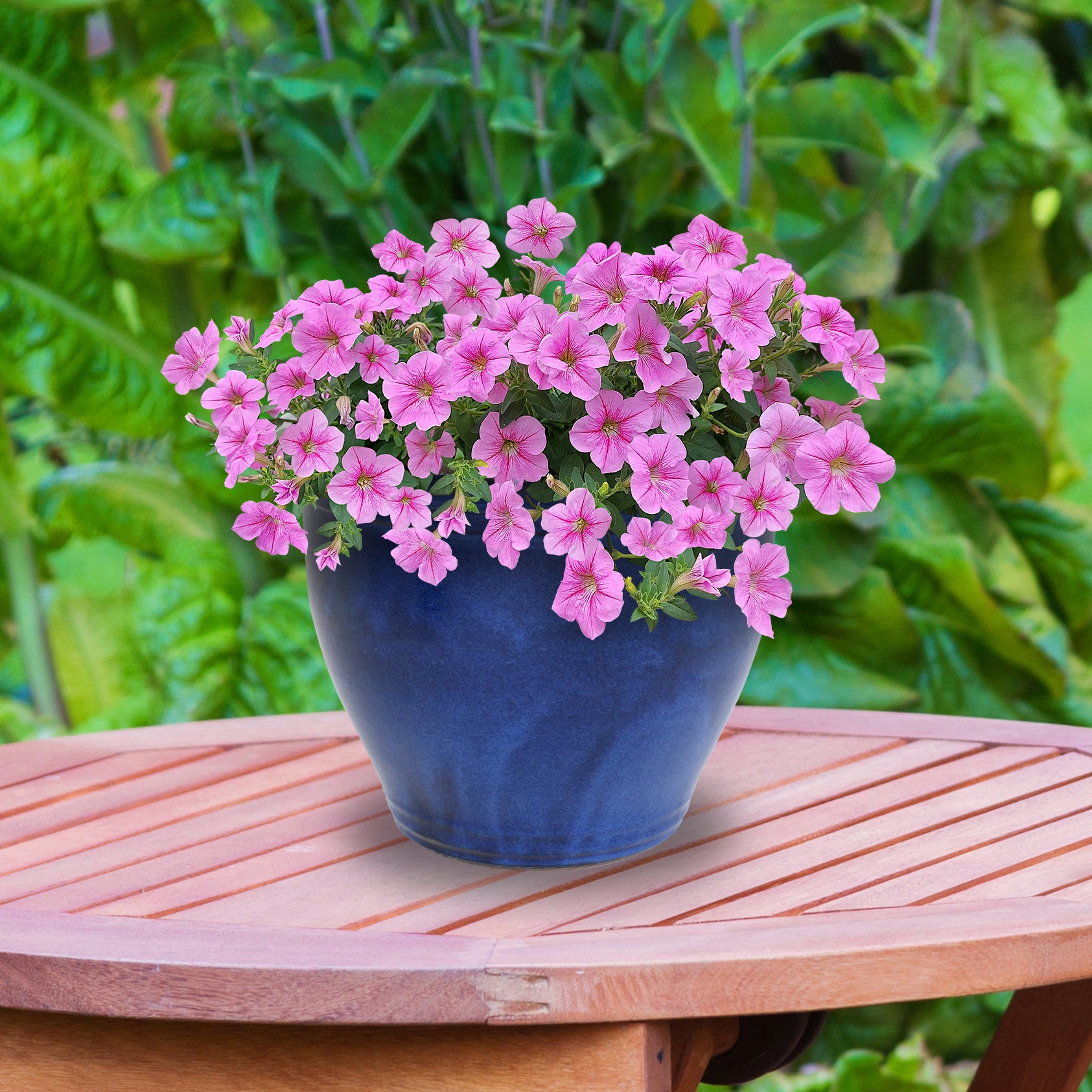 Sunnydaze Studio Round Glazed Ceramic Planter with Drainage Hole - Indoor Outdoor Flower Pot for Plants, Succulents, Herbs - Perfect for Patio, Garden, Balcony Decor