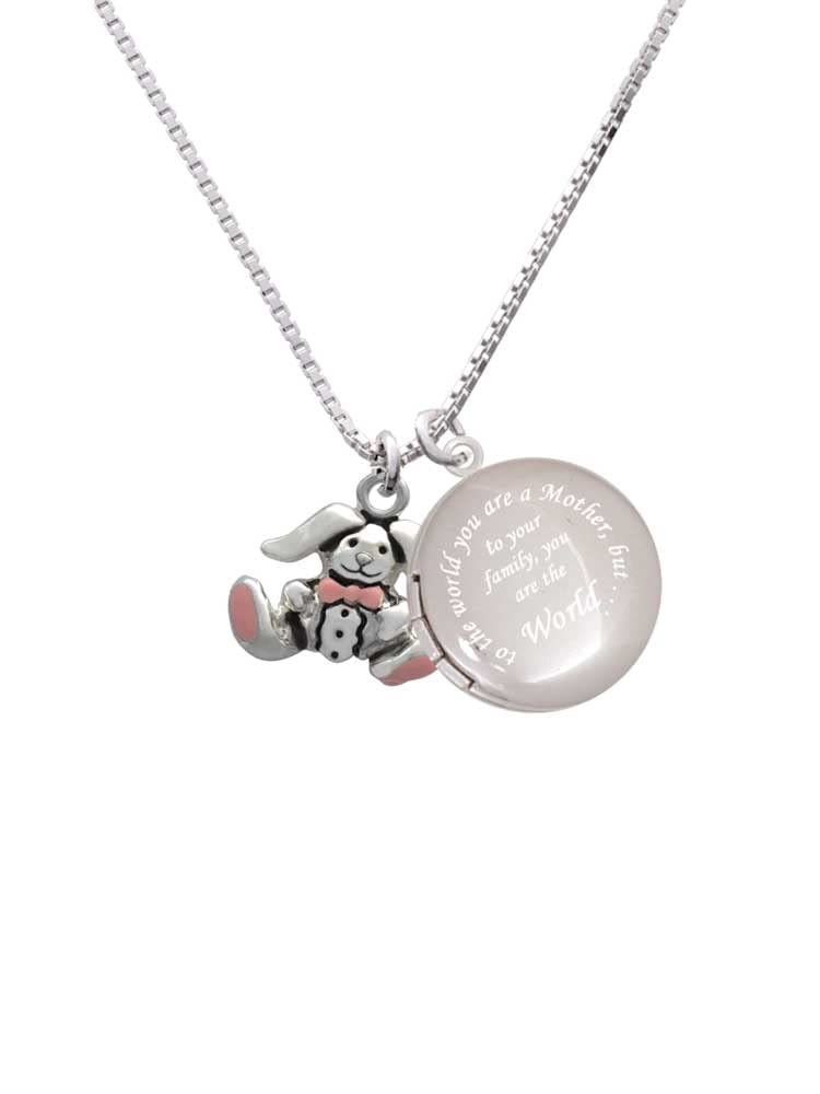 Delight Jewelry Sterling Silver Sitting Bunny with Easter Egg Pendant - Mother's Day Locket Necklace 18