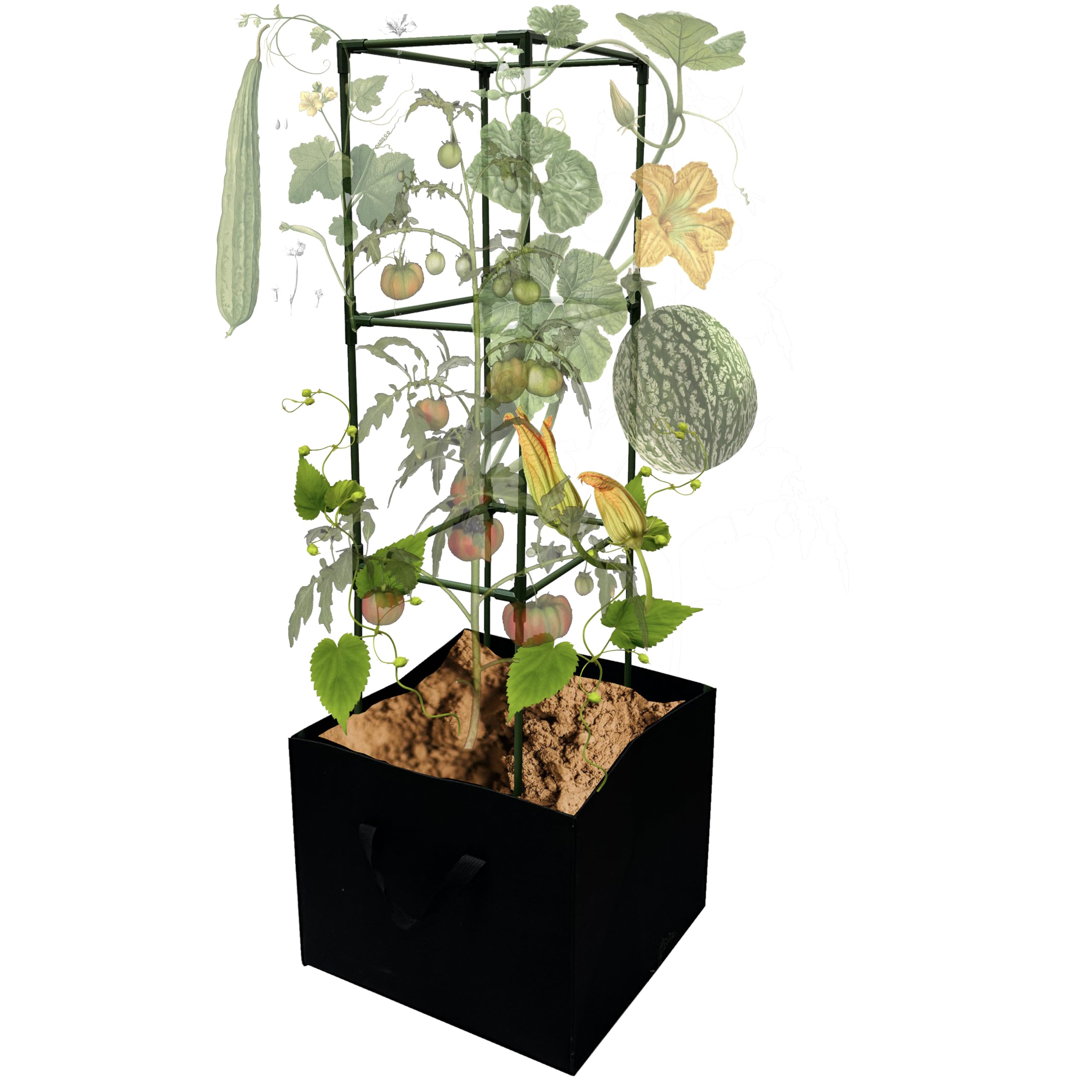 3 Pack 48 Inch Heavy Duty Tomato Cages with Grow Bags - Sturdy Plant Support for Tomatoes, Peppers & Vines - Perfect for Home Garden, Backyard & Greenhouse Planting