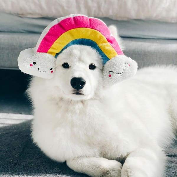 ZippyPaws Squeaky Pattiez Rainbow Plush Dog Toy - Interactive Squeaker Puppy Chew Toy for Small & Medium Dogs - Perfect for Playtime, Training & Cuddling (ZP909)