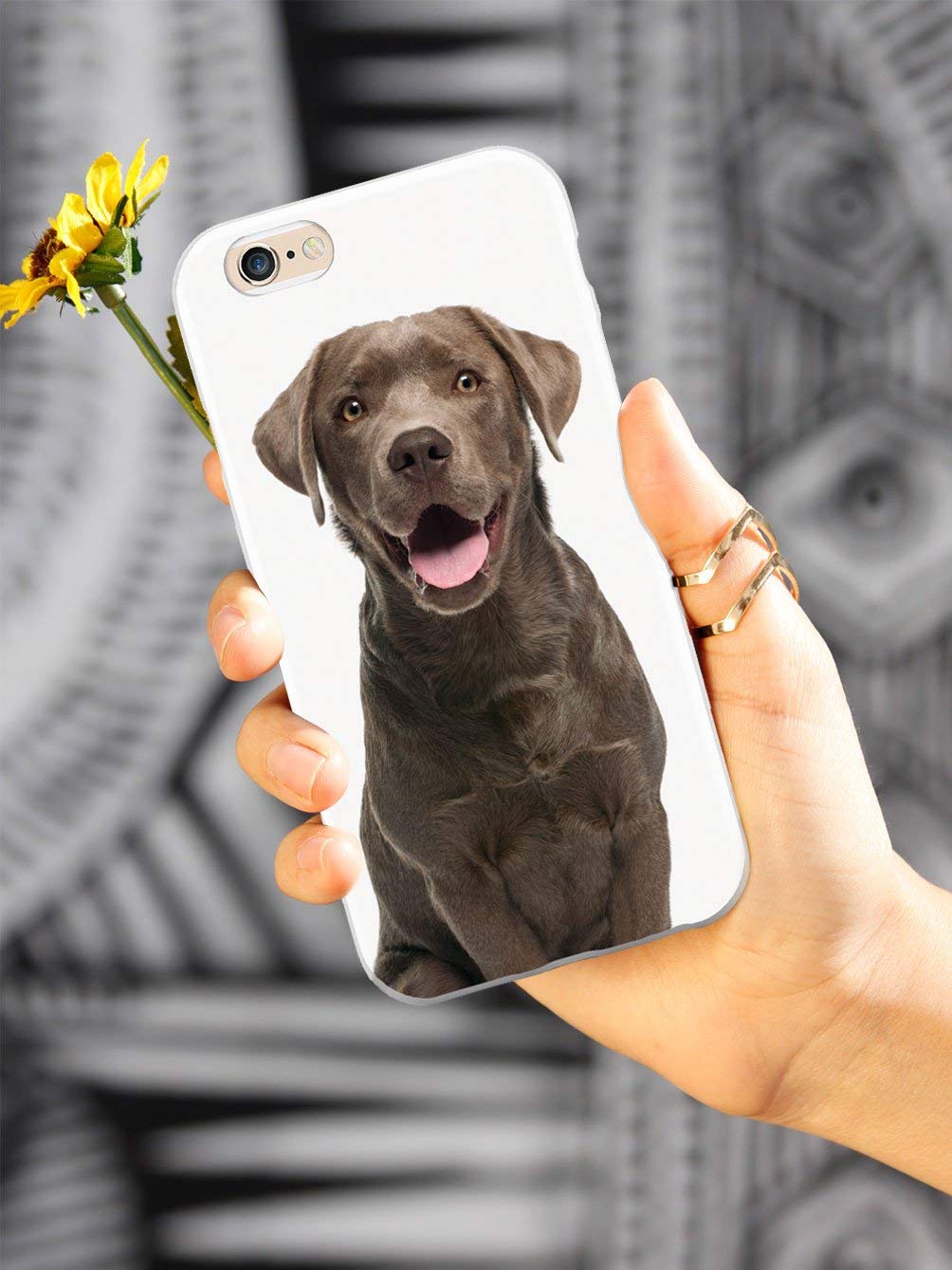 Premium 3D Textured Protective Phone Case for Apple iPhone Xs Max - Chocolate Labrador Design - Shockproof & Scratch-Resistant Cover - Perfect for Everyday Use, Outdoor Activities & Gift Giving