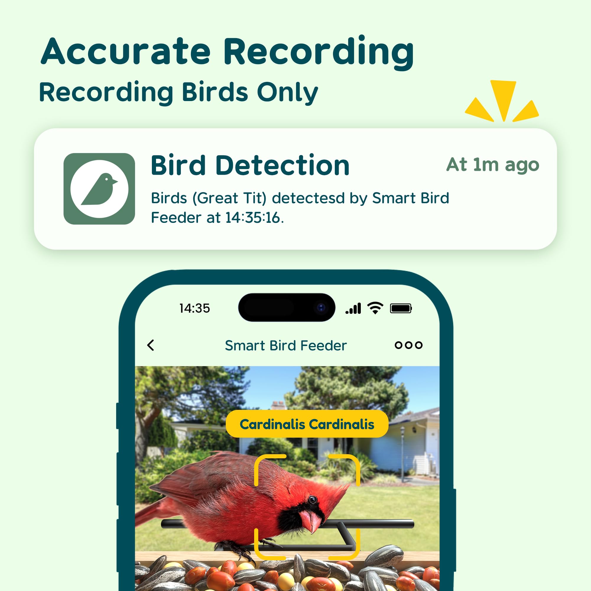 Solar Powered Smart Bird Feeder with Camera - 1.5L Capacity for Bird Watching, Auto Capture & Real-Time Notifications - Perfect Gift for Bird Lovers - Ideal for Backyard, Garden & Nature Observation