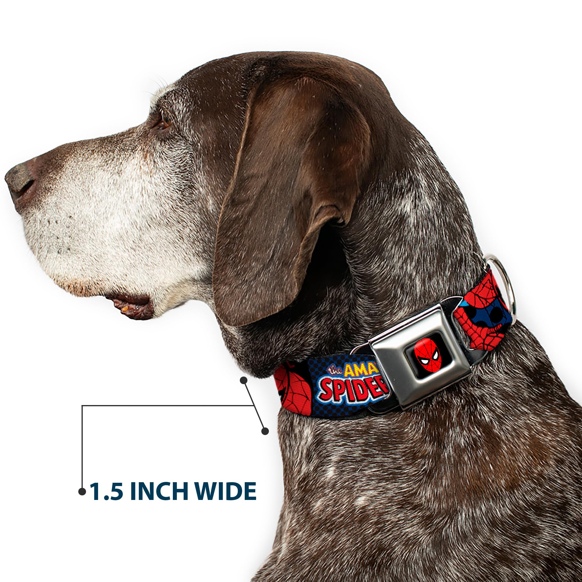 Amazing Spider-Man Dog Collar with Seatbelt Buckle - Adjustable 9 to 15 Inches, 1.0 Inch Wide, Multi-Color (DC-WSPD001-S) - Perfect for Superhero Fans & Pet Safety in Cars