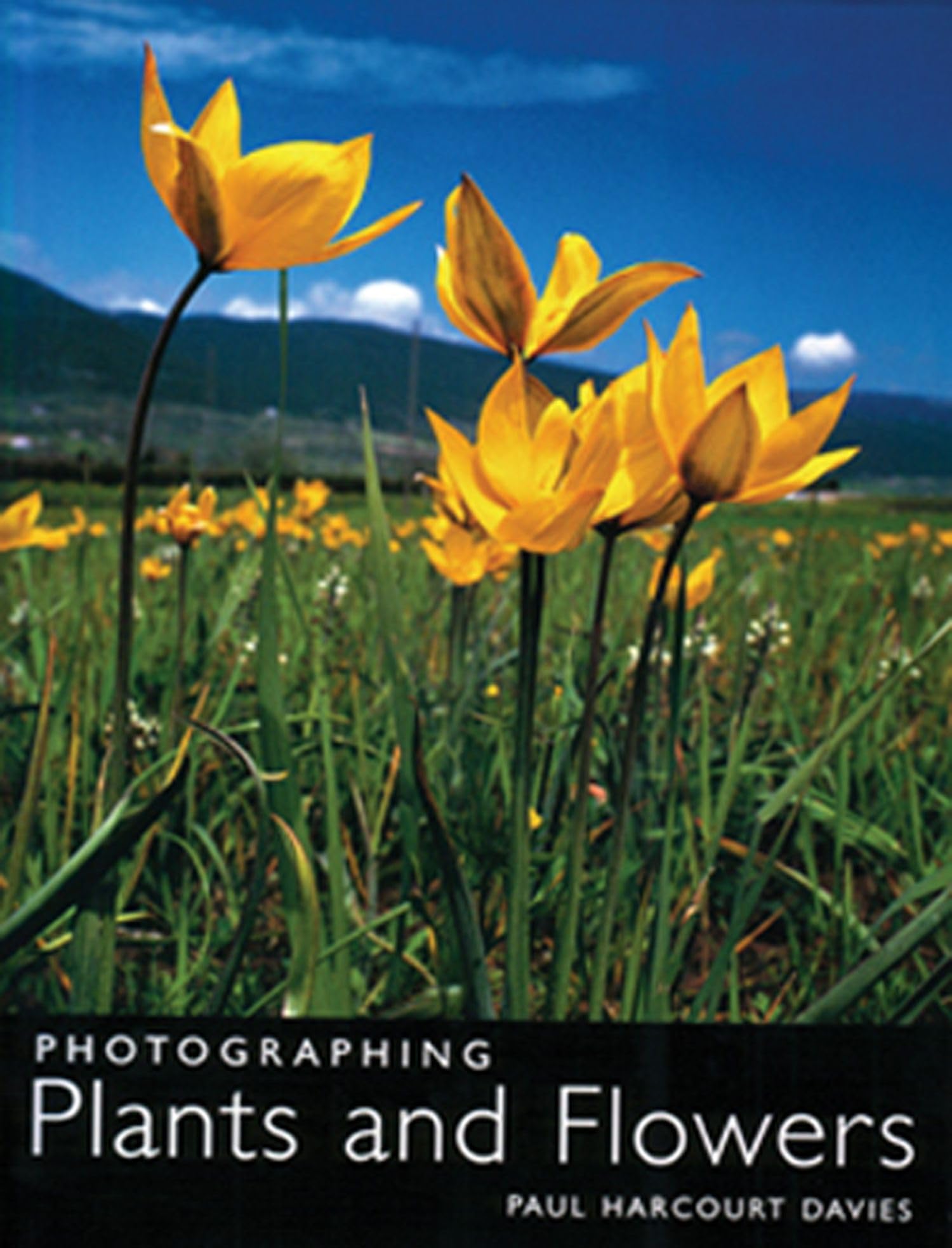 Best DSLR Camera for Photographing Plants and Flowers - Professional Nature Photography Equipment for Garden, Macro & Botanical Shots (Perfect for Outdoor Photography, Scientific Research & Art Projects)