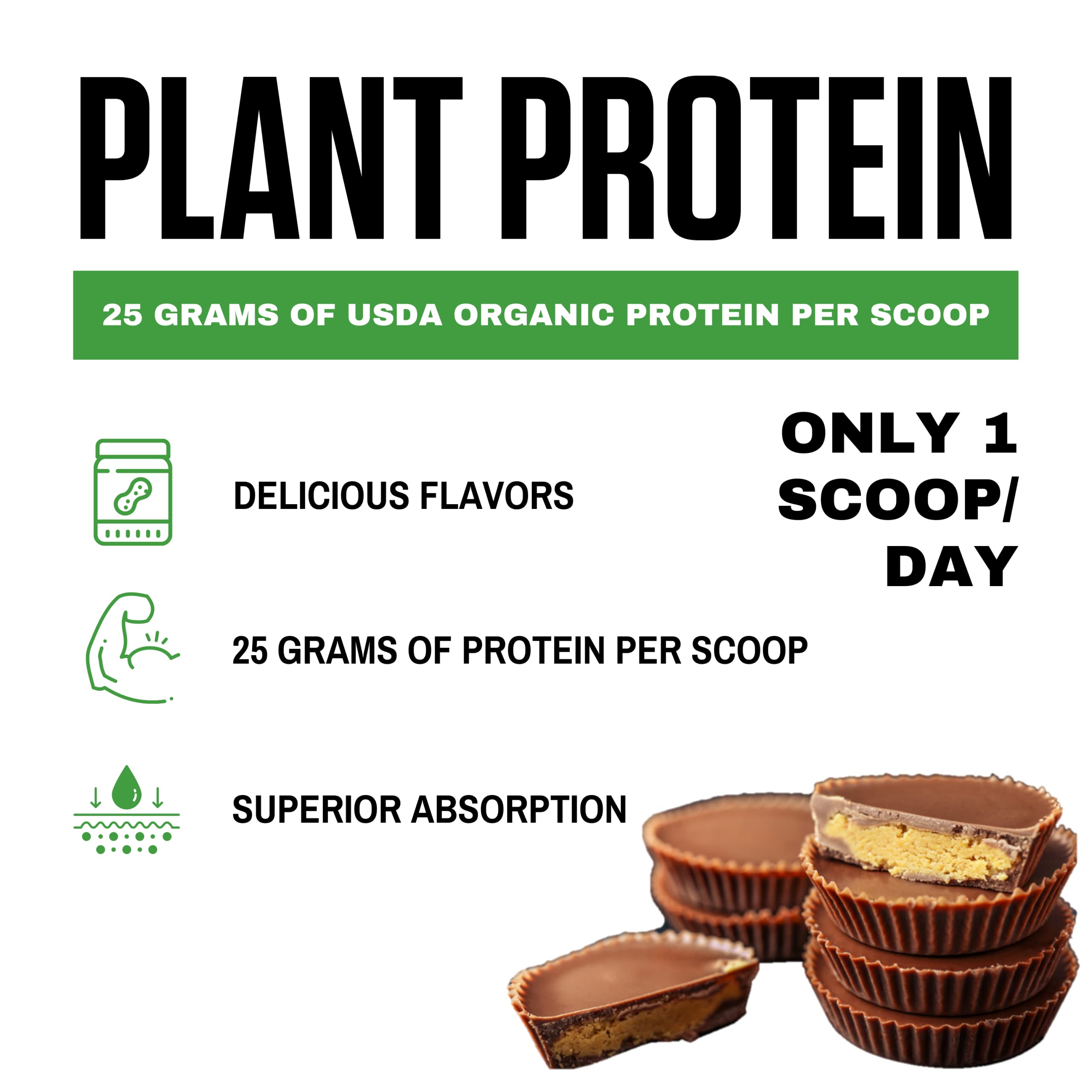 Vedge Certified Organic Plant Protein Powder - Chocolate Peanut Butter Cup (20 Servings) | Vegan, USDA Organic, Gluten Free, Dairy-Free Protein Supplement for Smoothies, Baking & Post-Workout Recovery