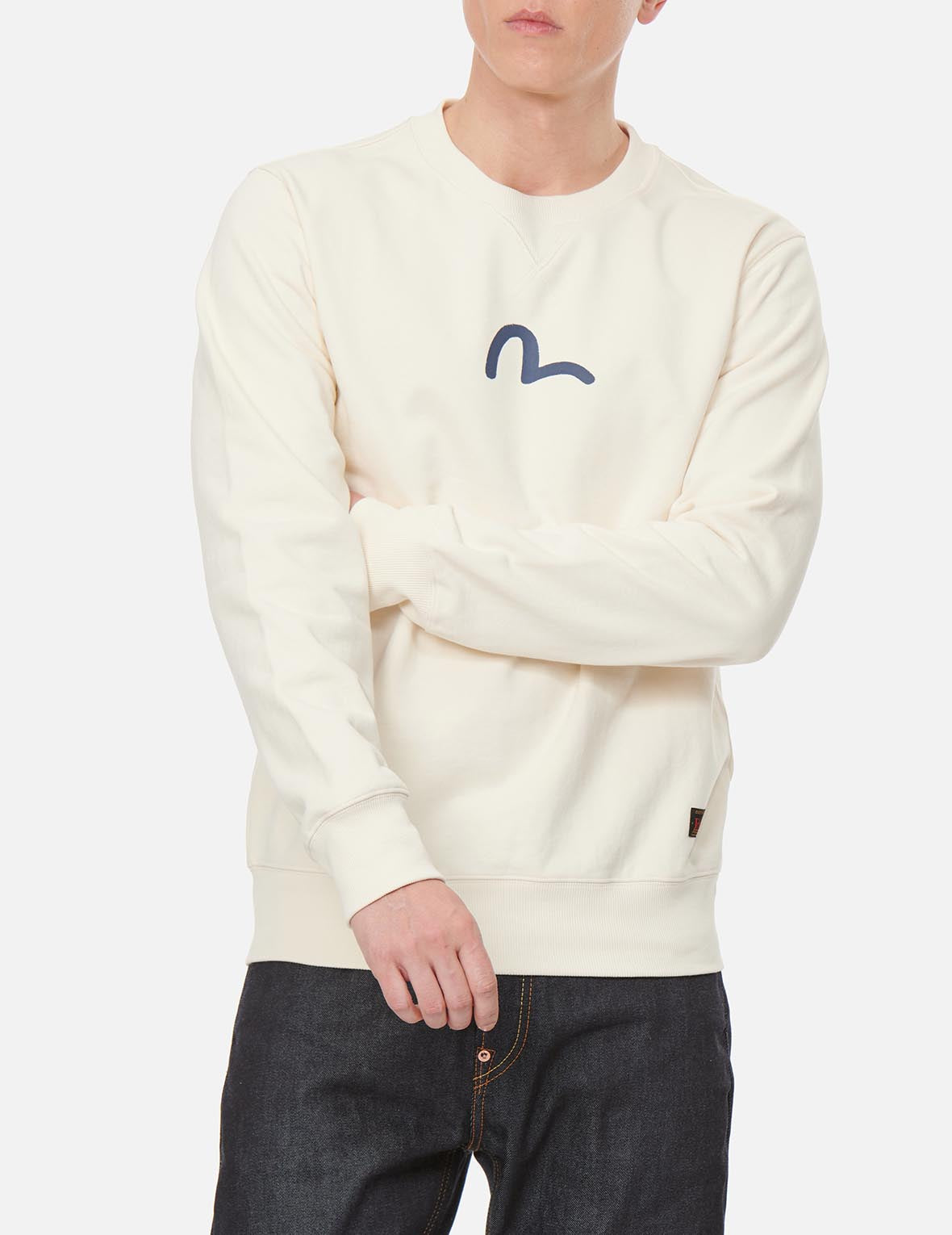 Stylish Seagull Print Sweatshirt for Women & Men | Trendy Casual Pullover | Perfect for Beach Outings, Travel & Everyday Wear